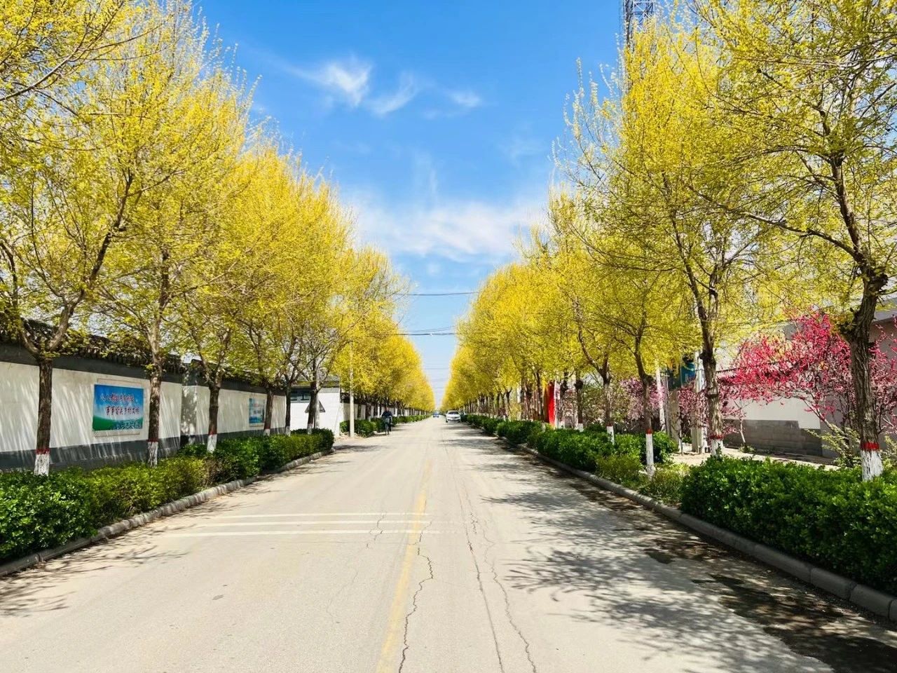 微信图片_20240401084549.jpg