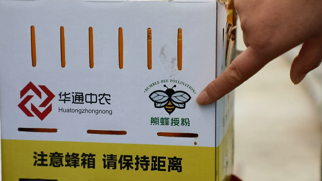 微信图片_20241230101847.png
