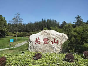 兆丰山