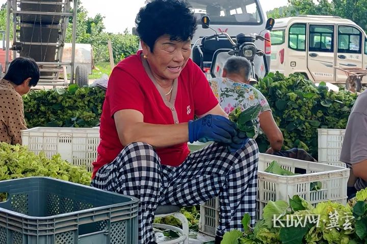 微信图片_20250804090337.jpg