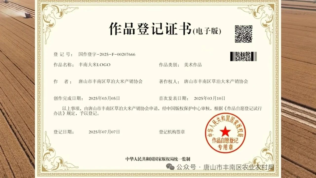 微信图片_20250811090552.jpg