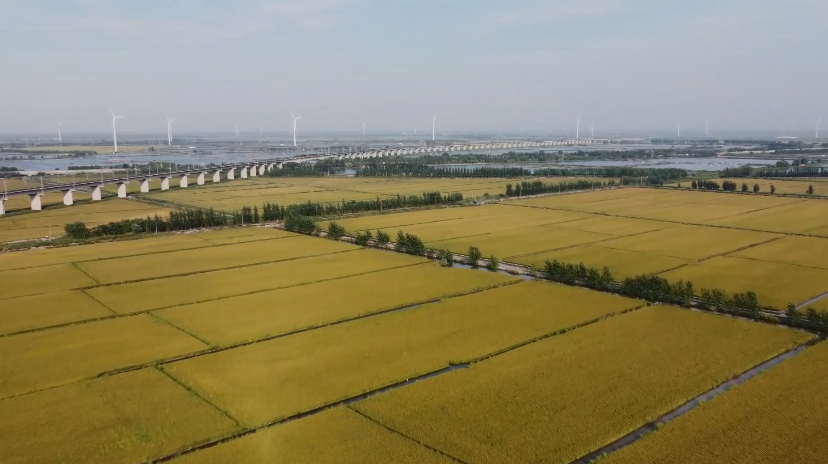 微信图片_2025-09-22_090820_140.png